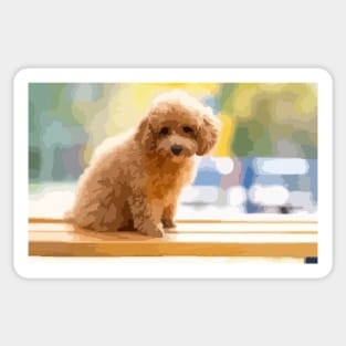 Poodle Puppy Digital Painting Sticker